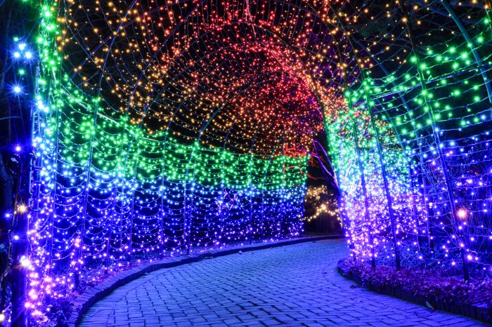 Boston Holiday Lights | Drive-Thru Displays